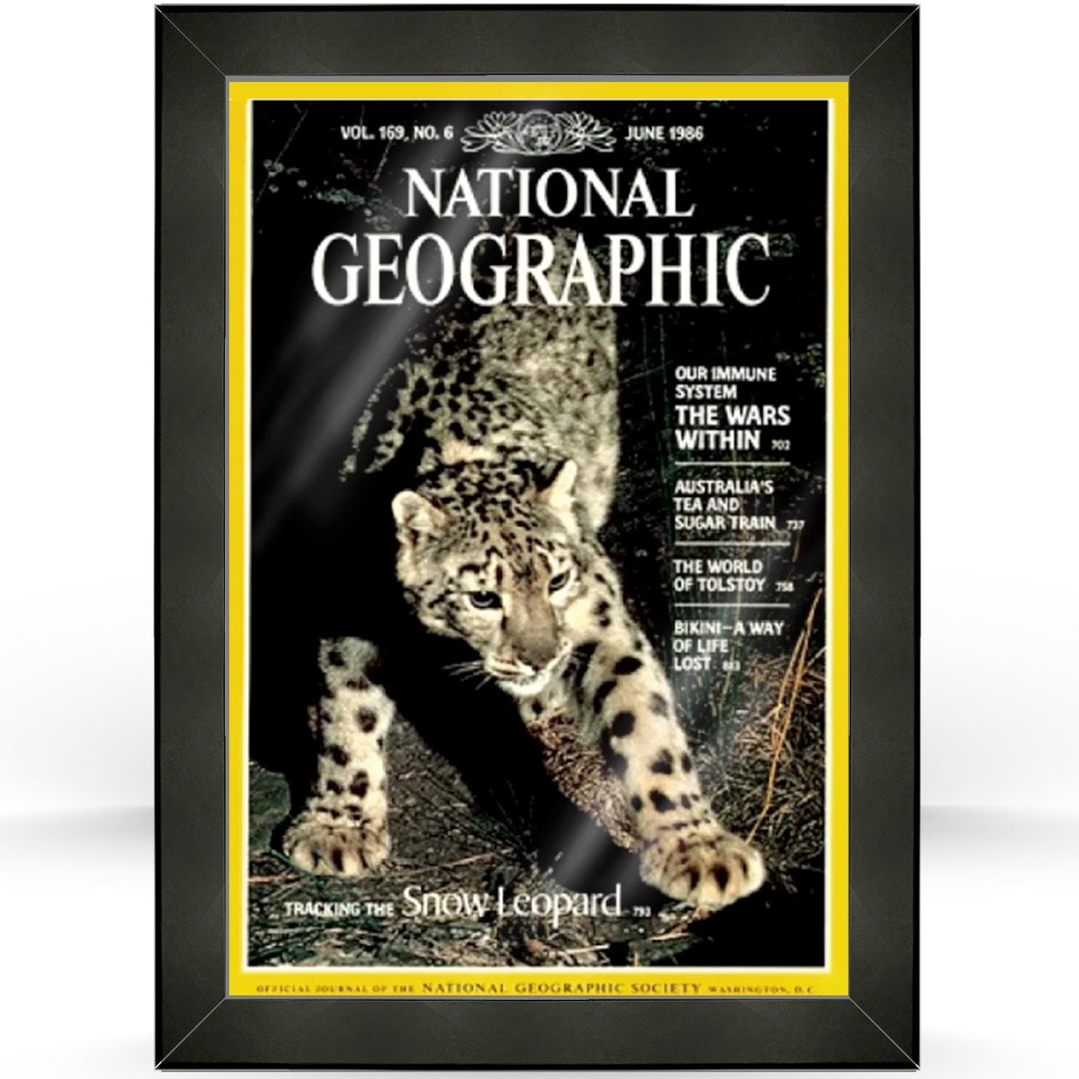 National Geographic Frame Kit